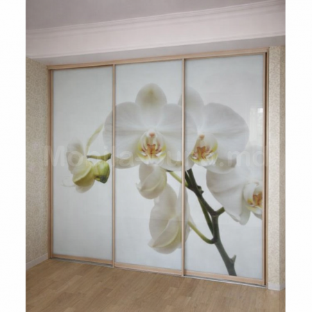 Фотопечать на раздвижных дверях А-10